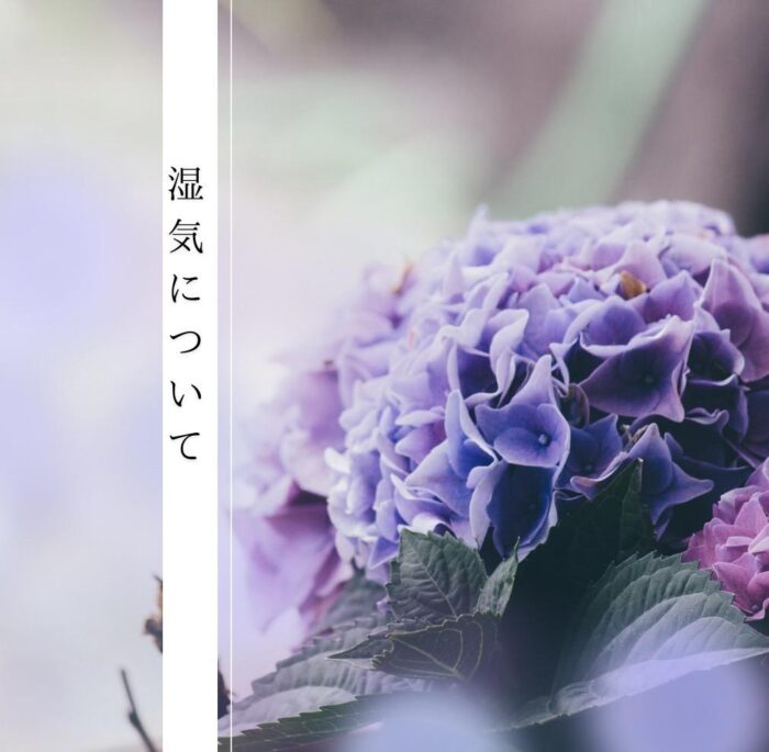 湿気について